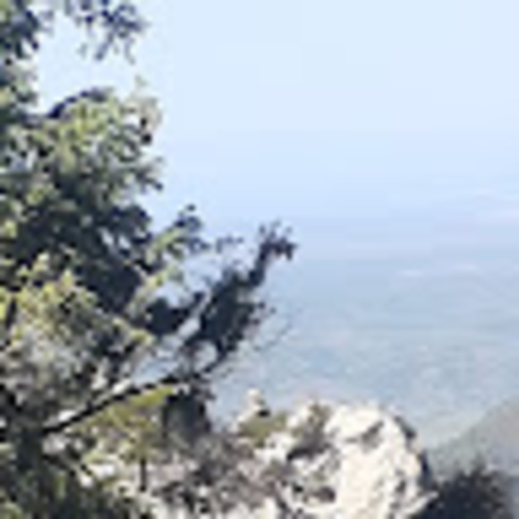 Meet your Posher, R - Picture 1 of 1